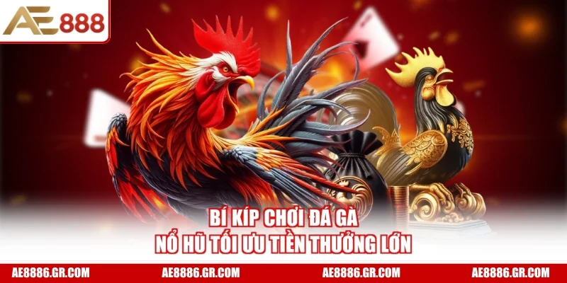 Bí kíp chơi đá gà nổ hũ tối ưu tiền thưởng lớn