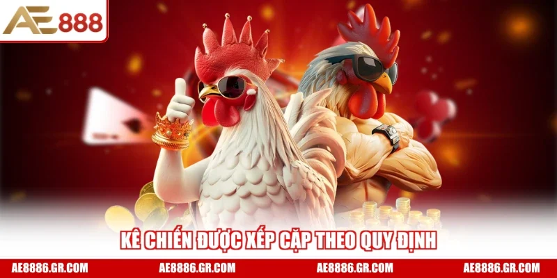 Kê chiến được xếp cặp theo quy định