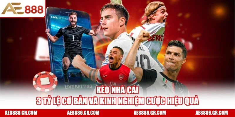 Kèo Nhà Cái - 3 Tỷ Lệ Cơ Bản Và Kinh Nghiệm Cược Hiệu Quả