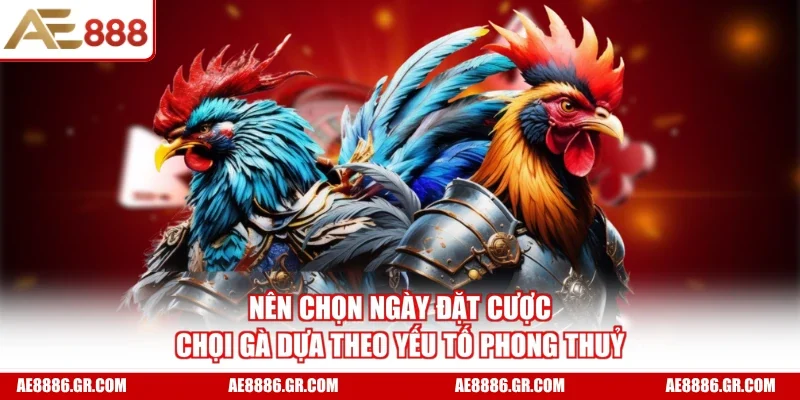 Nên chọn ngày đặt cược chọi gà dựa theo yếu tố phong thuỷ