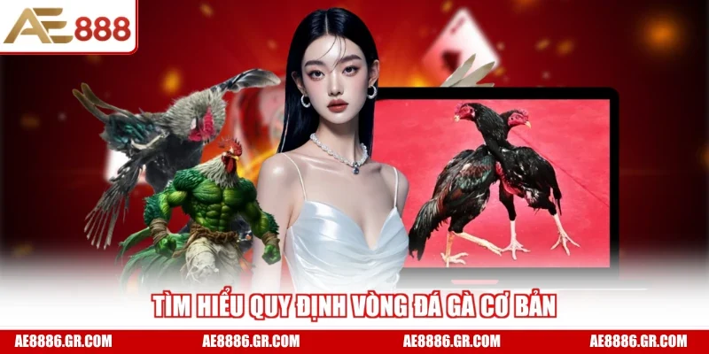 Tìm hiểu quy định vòng đá gà cơ bản